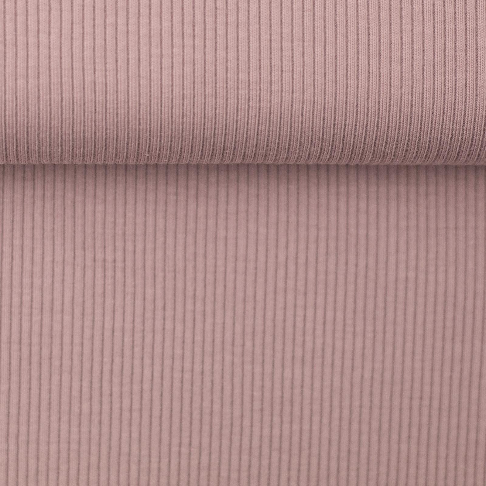 Wide Drop Needle Rib Jersey - Ecru – Lilac and Rose Fabrics